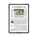 LZ ePaper (Probe)